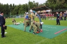 150530_AFLB_Hochneukirchen_80