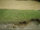 090627_Hochwassereinsatz_Klingfurth_2