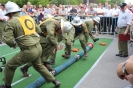 120617_Feuerwehrfest_18