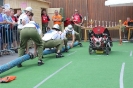 120617_Feuerwehrfest_53