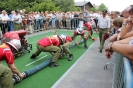 120617_Feuerwehrfest_5