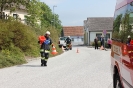 170521_Feuerwehrfest_40