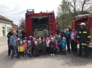 190531_Kindergarten_Flohzirkus_15