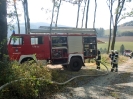 161001_Unterabschnittsübung in Hochneukirchen_17